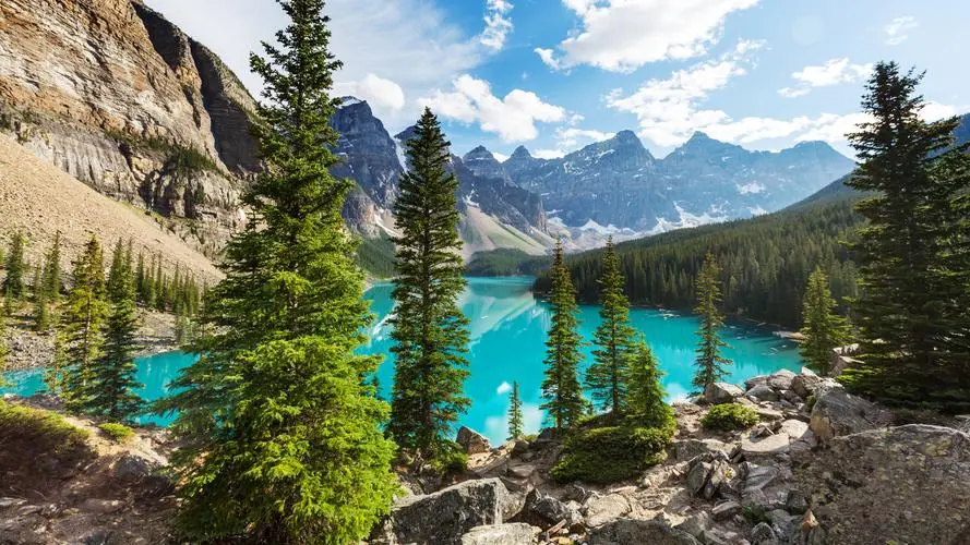 智能化高性能工业